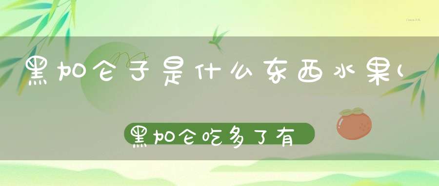 黑加仑子是什么东西水果(黑加仑吃多了有什么好处或坏处)