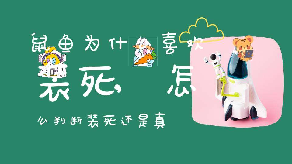 鼠鱼为什么喜欢装死,怎么判断装死还是真死(怎么鉴别仓鼠的假死)