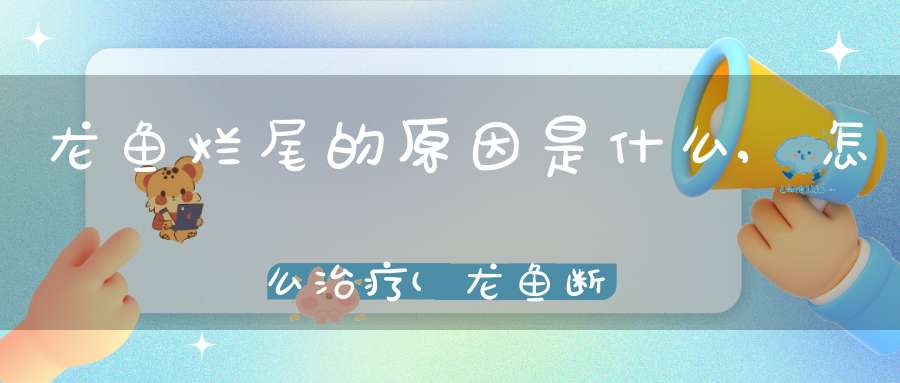 龙鱼烂尾的原因是什么,怎么治疗(龙鱼断尾的病因及治疗方法)